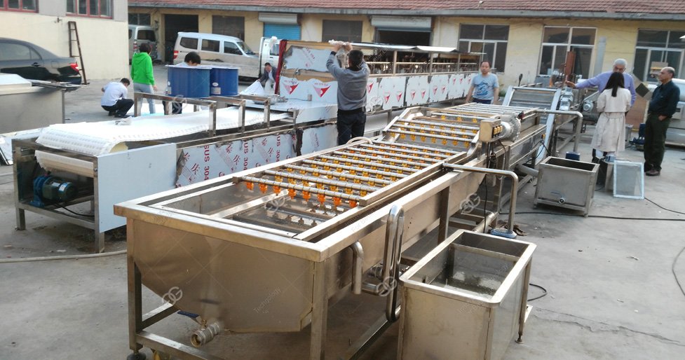 Fruit Vegetable Washing Line