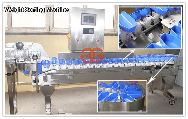 Automatic Weight Sorting Machine for Fruit