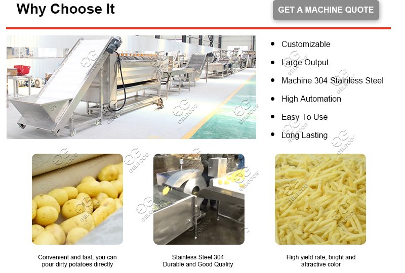 Turnkey Frozen French Fries Processing Line