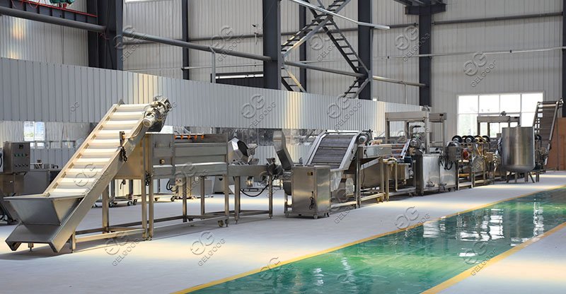GELGOOG French Fries Production Line with 500 kg/h