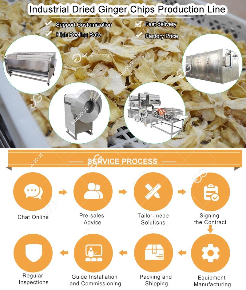 Dried Ginger Chips Slicing Drying Machine
