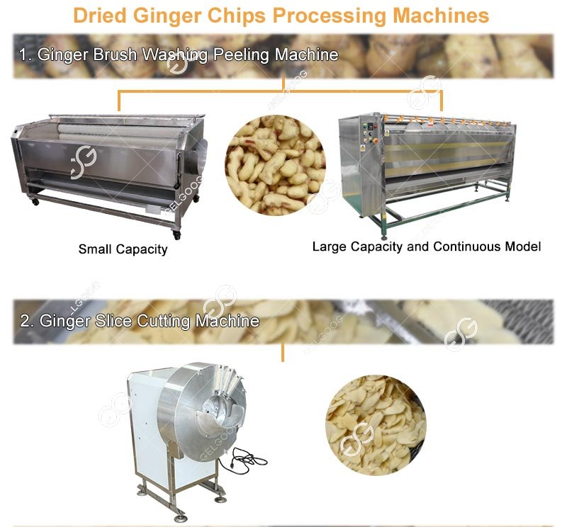 Ginger Cleaning Machine