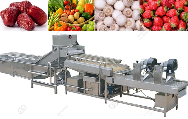 Fruit Vegetable Washing Machine