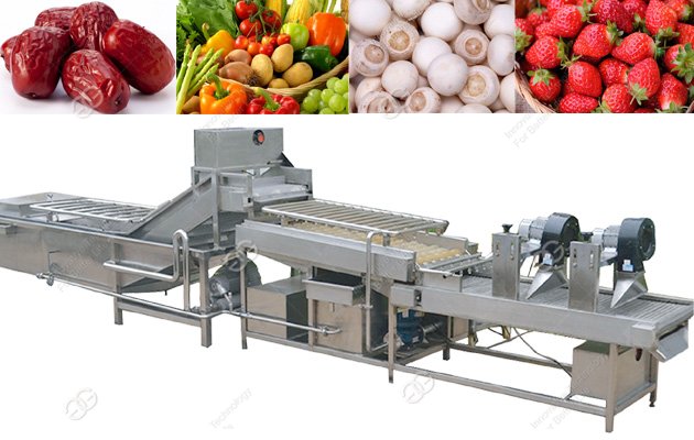 Vegetable Cleaning Line