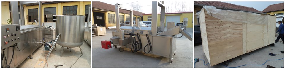 Continuous Frying Machine Peru