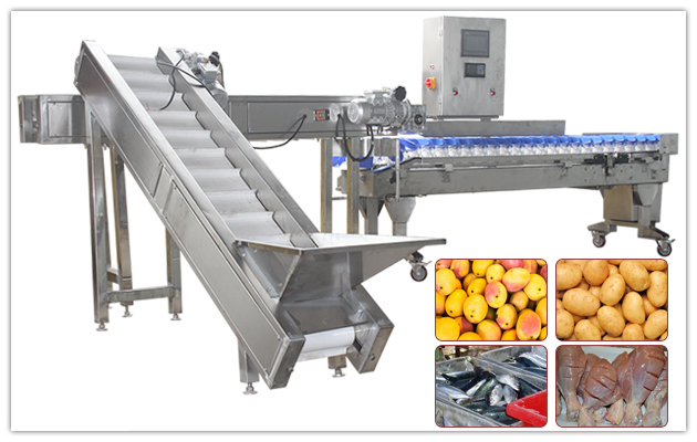 Automatic Mango Weight Sorting Machine