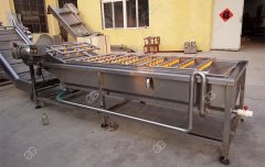 Vegetable Cleaning Machine to UK