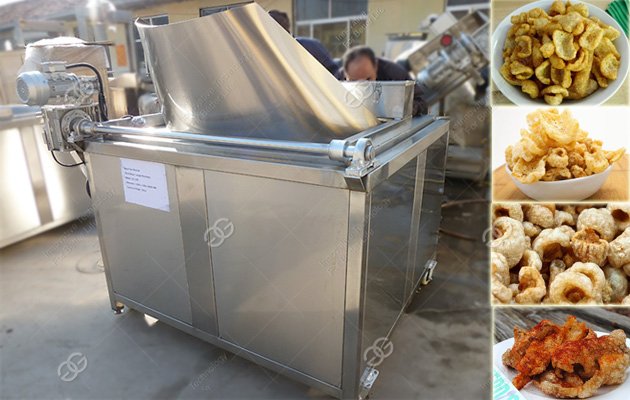 Automatic Fryer Machine