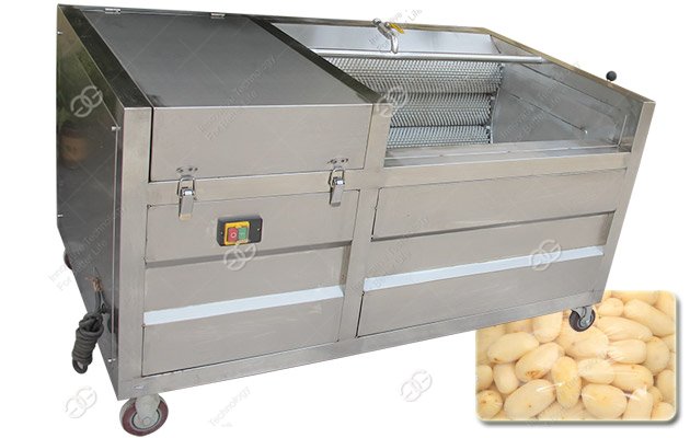 Brush Washing Machine for Stem Vegetables