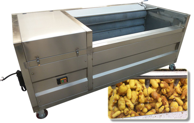 Brush Potato Washing and Peeling Machine