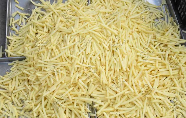 Frozen French Fries processing plant cost