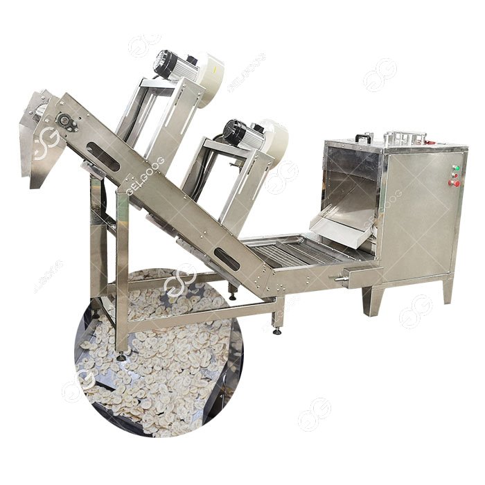 Banana Slicing Machine for Sale