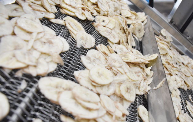 Banana Chip making machine Philippines
