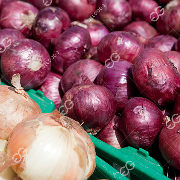 processing fresh onion